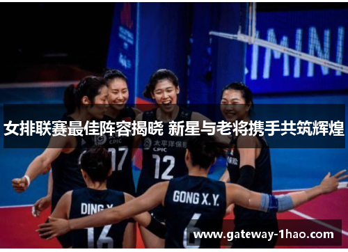 女排联赛最佳阵容揭晓 新星与老将携手共筑辉煌